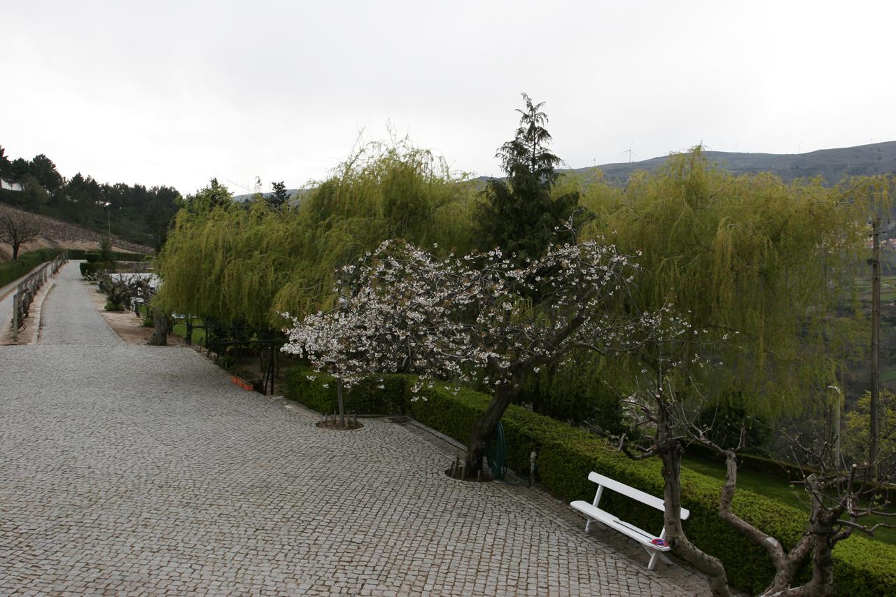 Quinta Da Timpeira Lamego Exterior foto
